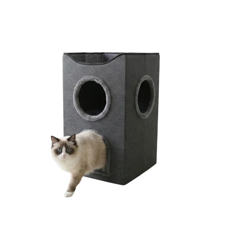 bb-loisir2679485