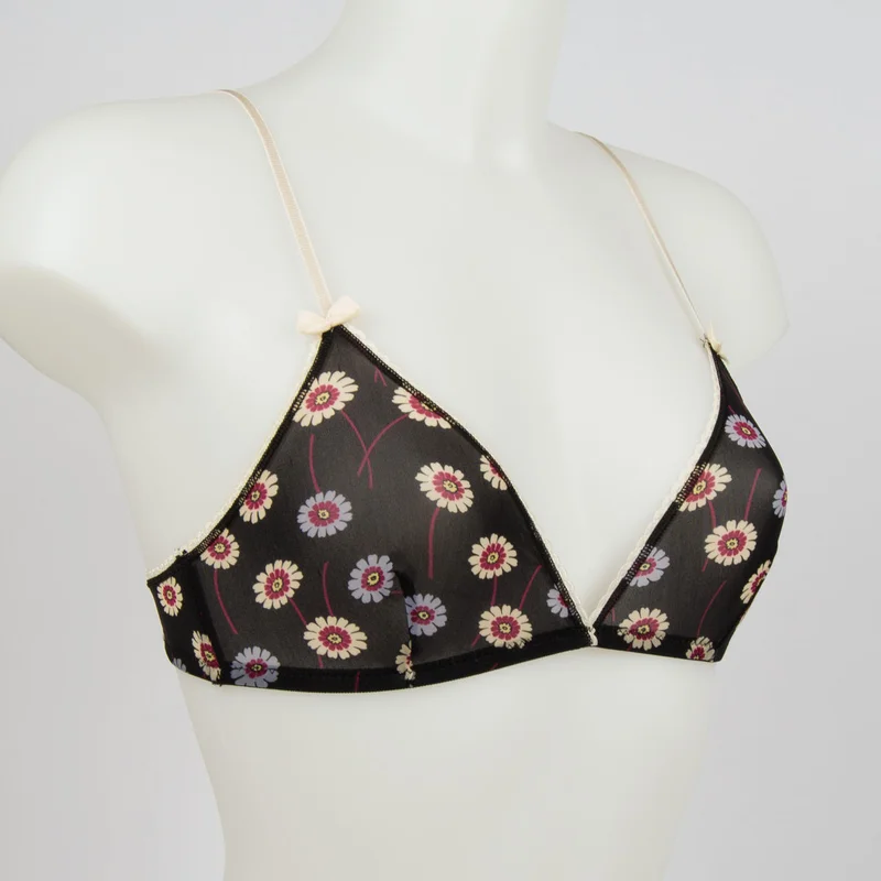 cdvshop3846400