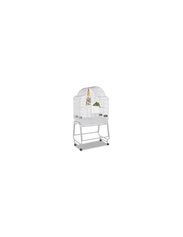 cielterre-commerce2728676