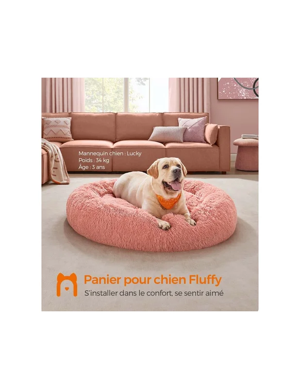 cielterre-commerce2863989