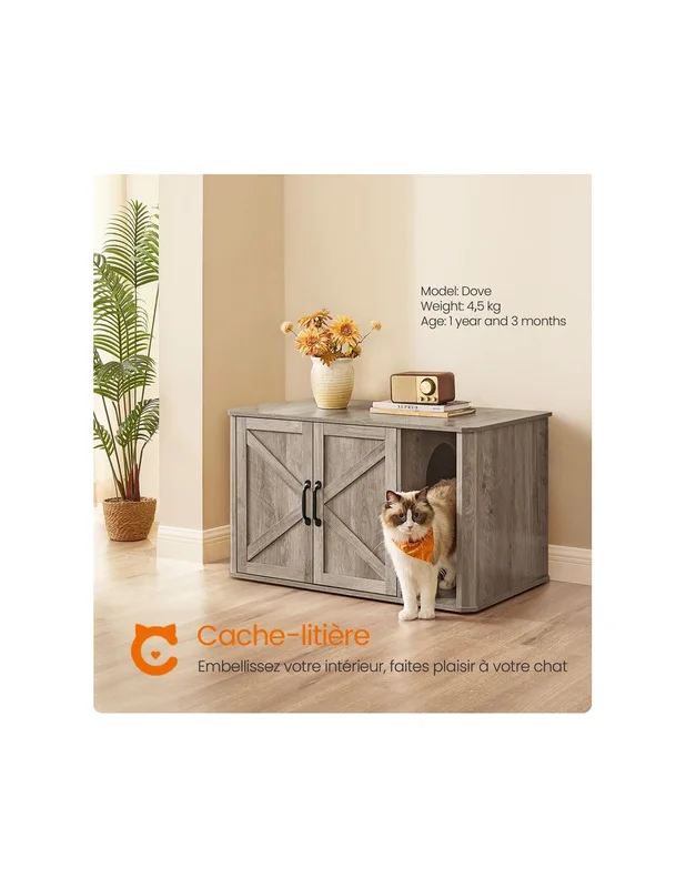 cielterre-commerce2870764