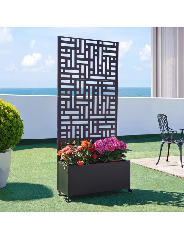 cielterre-commerce3012663
