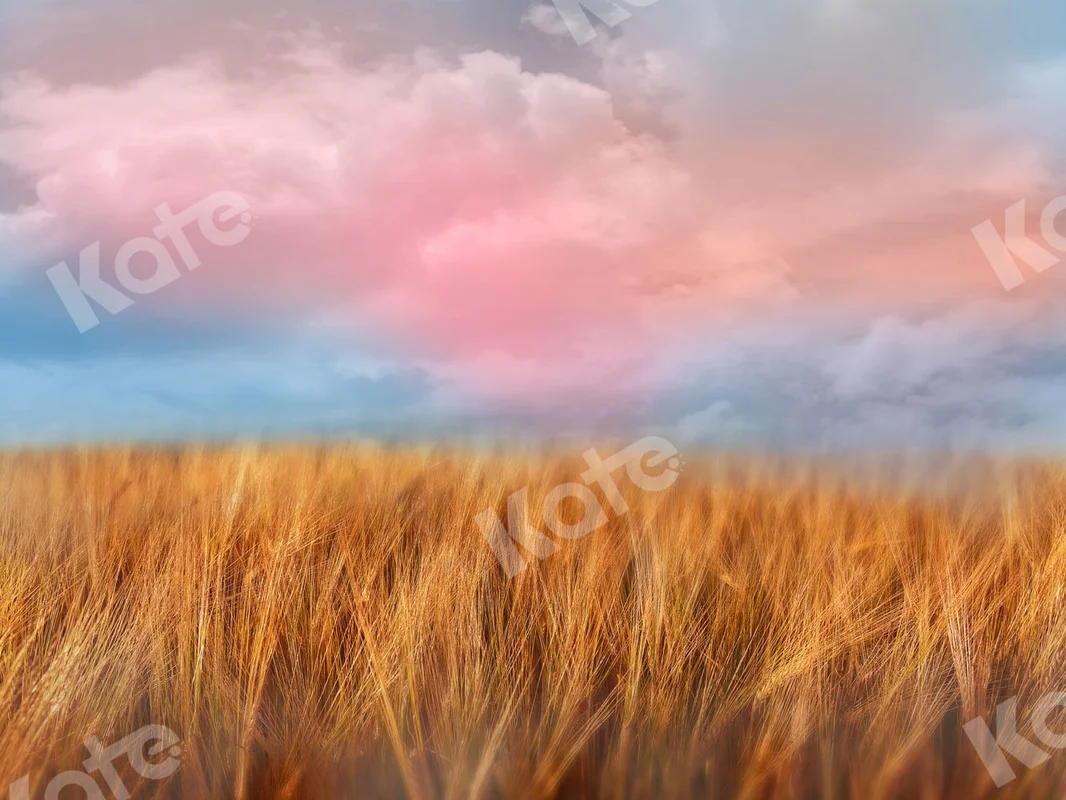 katebackdrop2647567