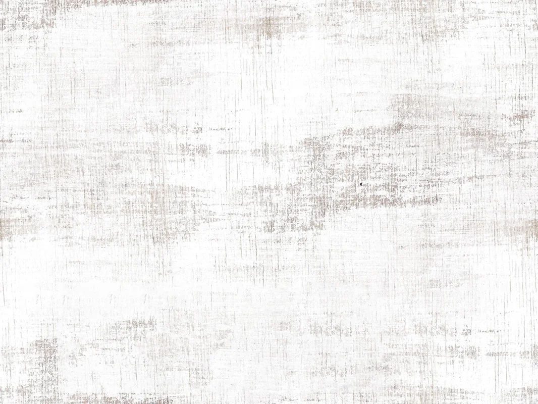 katebackdrop2650816