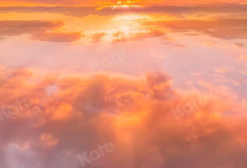 katebackdrop2656902