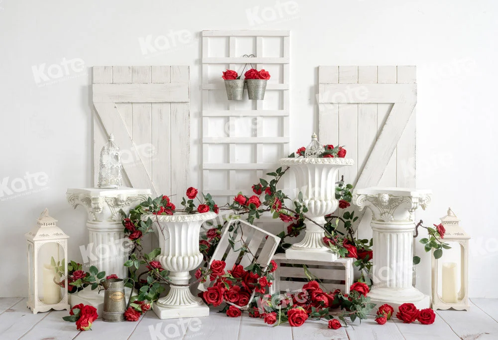 katebackdrop2674005