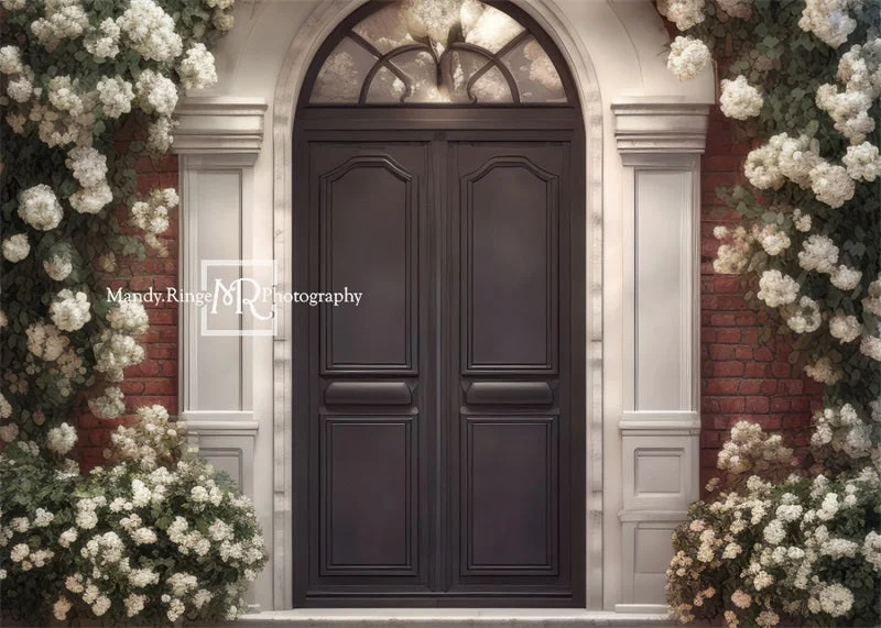 katebackdrop2680913
