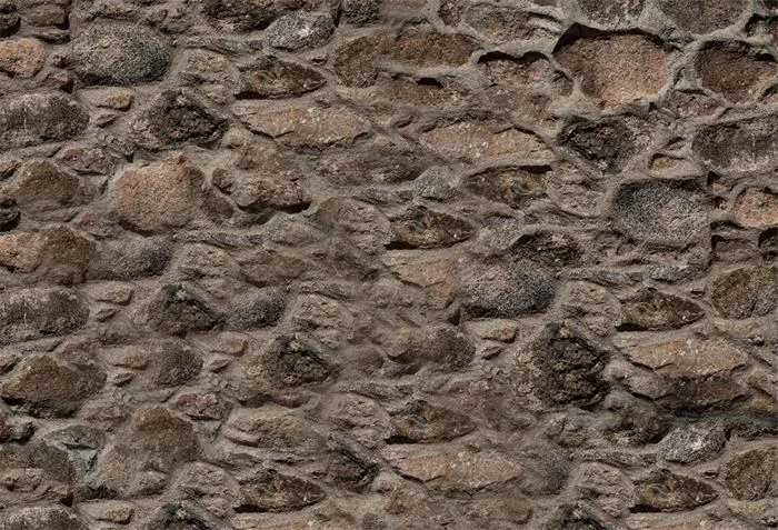katebackdrop2700092