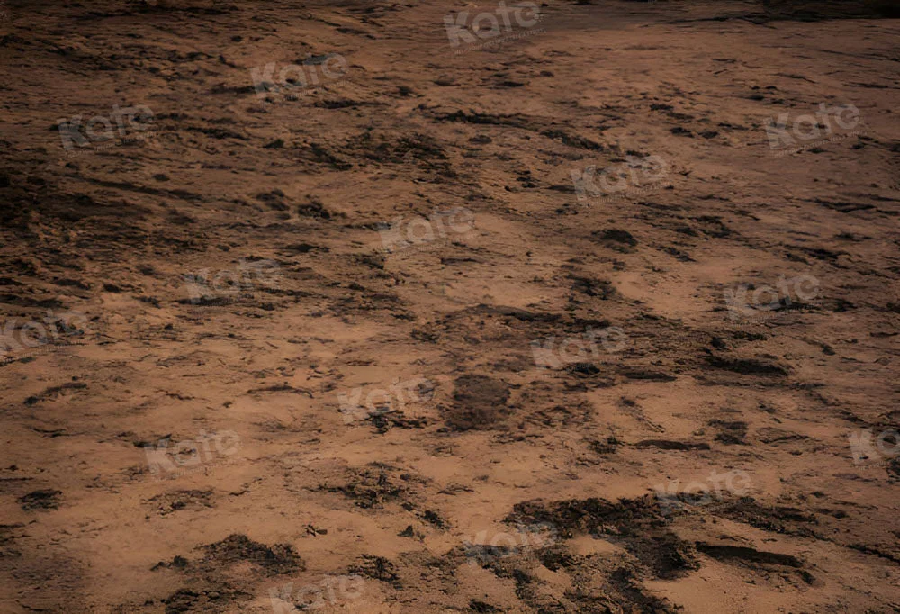 katebackdrop2700839