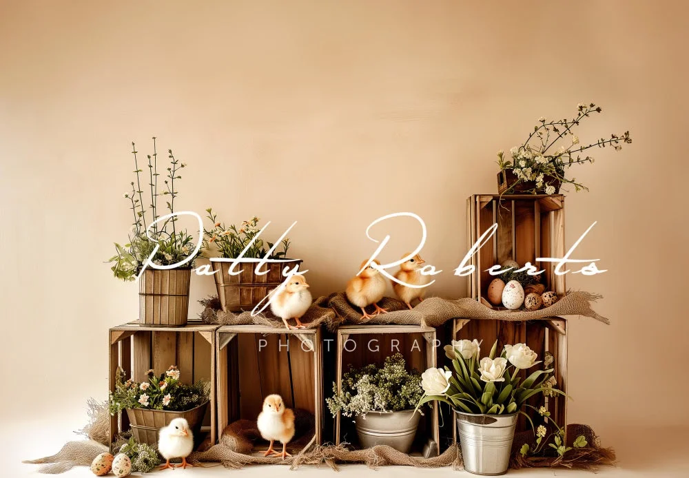 katebackdrop2711904