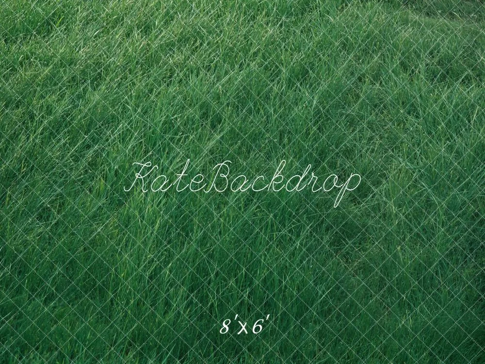 katebackdrop2725133