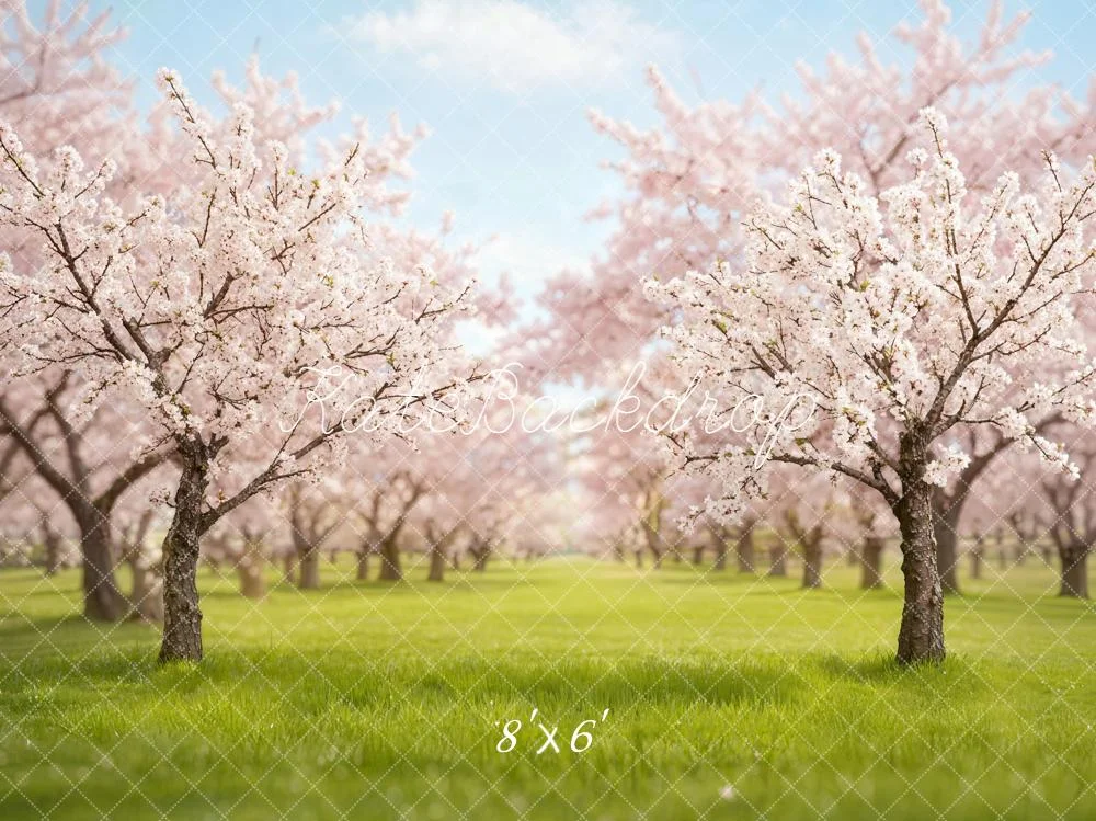 katebackdrop2734062