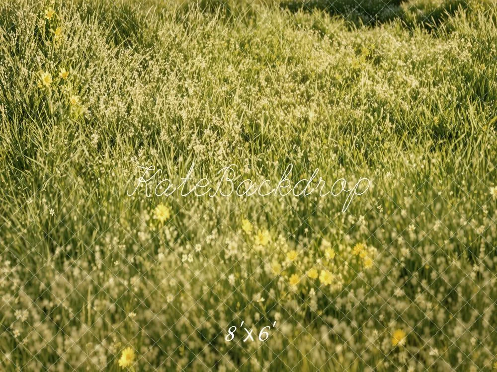 katebackdrop2769123